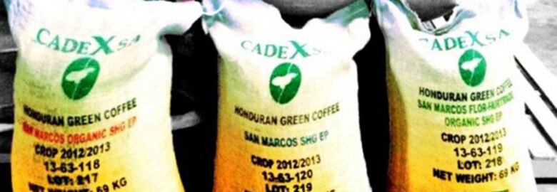 CAFÉ DE EXPORTACIÓN (CADEXSA)