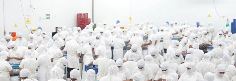 SERVICE AND TRADING BUSINESS S.A. DE C.V.