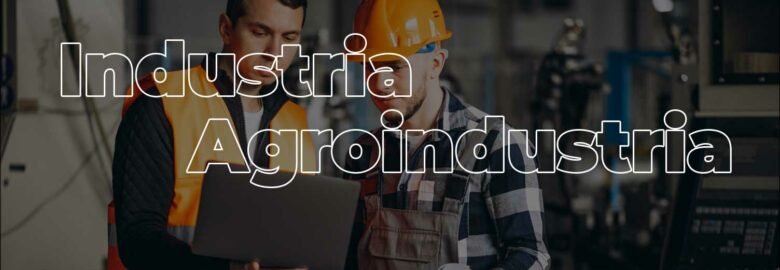 PUNTO BIENES & PROYECTOS